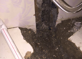 镇雄卫生间测漏水哪家好